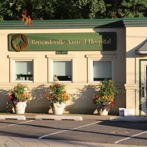 BernadsvilleLocation