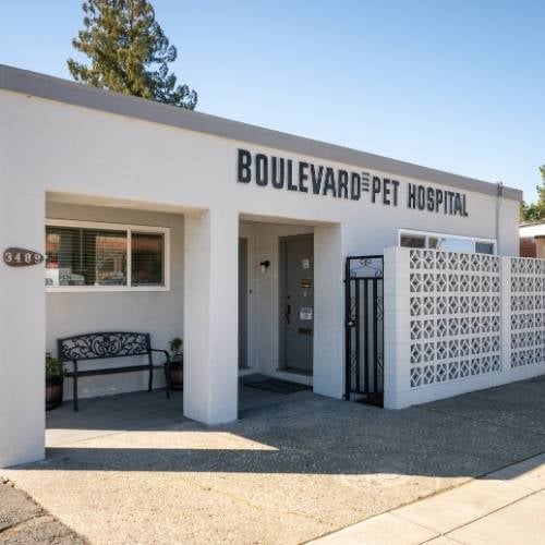 Boulevard Pet Hospital