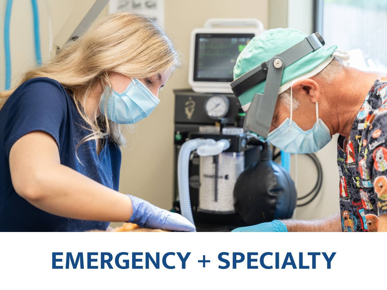 Emergency + Specialty