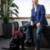 Man in suit sitting on desk with dog sitting on floor