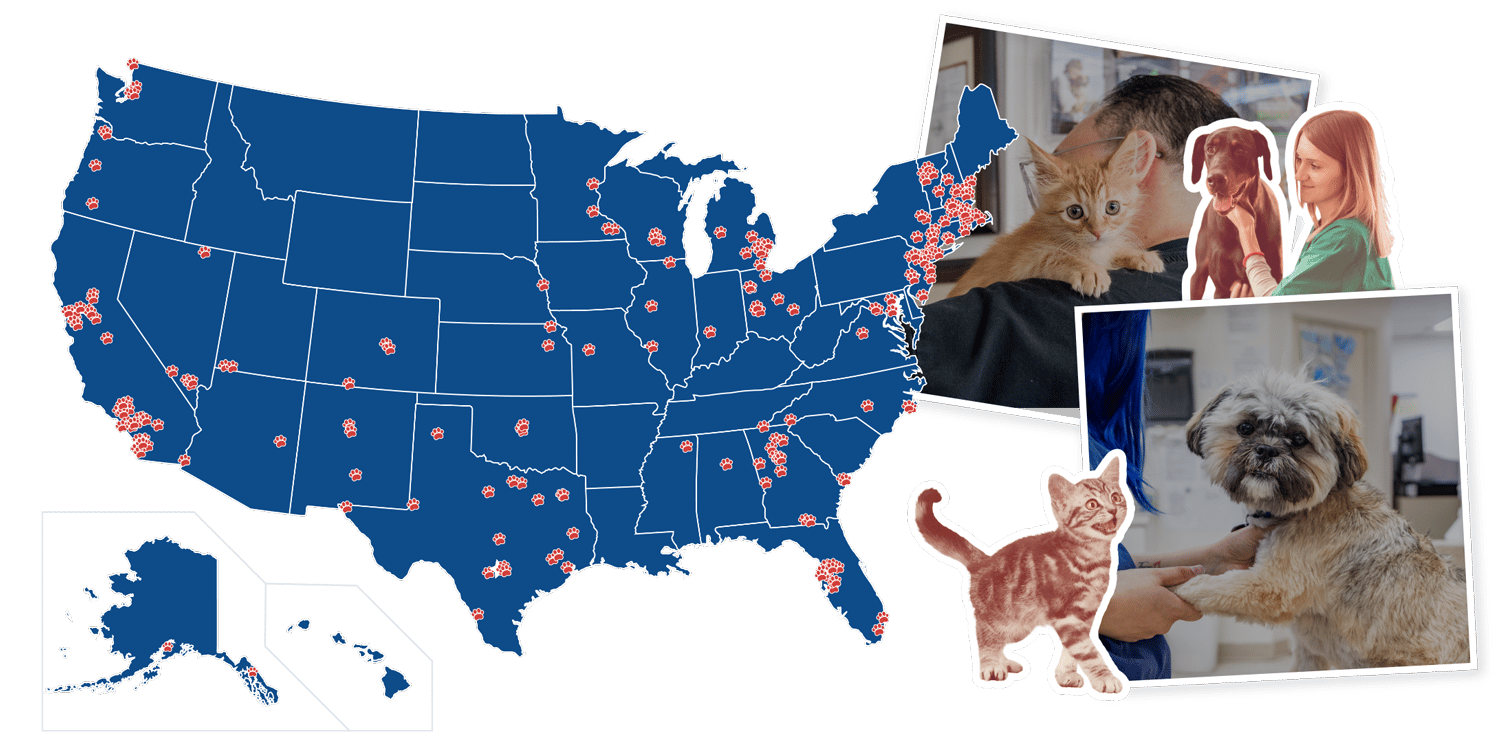 MapCollage-1