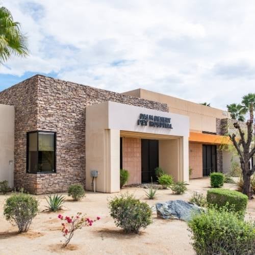 Palm Desert