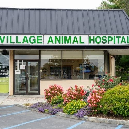 village AH