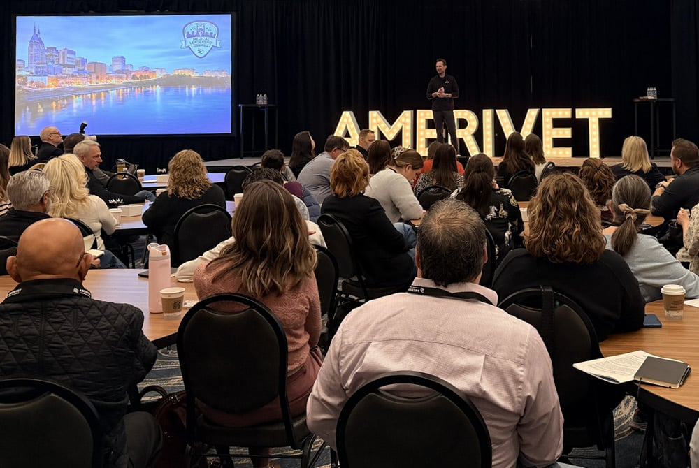 Card-AboutUs-1