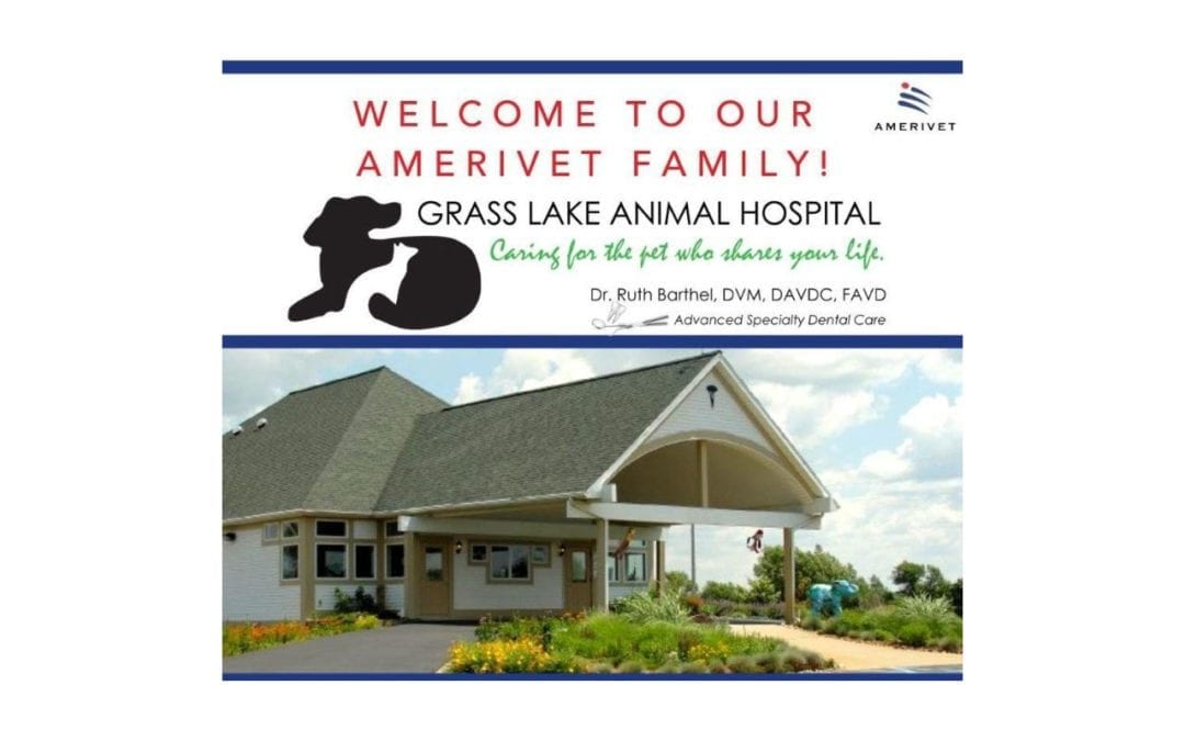 Welcome to AmeriVet – Grass Lake Animal Hospital
