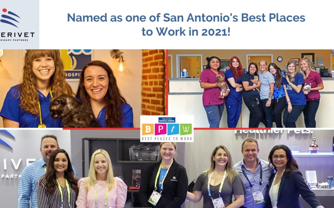Collage of photos from AmeriVet practices and events, announcing 2021 Best Places to Work Win