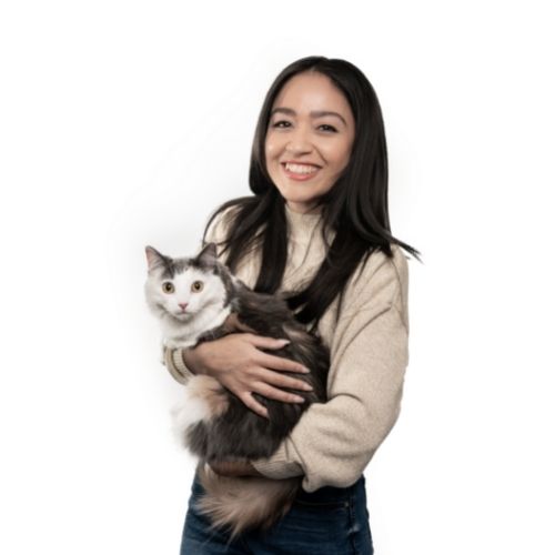 AmeriVet Senior Executive Assistant Kristine Duran, pictured with Olive the cat