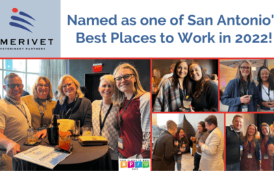 AmeriVet named as one of the San Antonio’s Best Places to Work