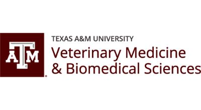 texas am