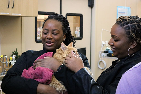 two veterinary team members caring for cat