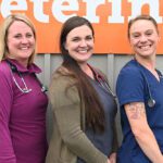 three team members smiling in front of a veterinary marketing piece