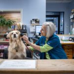 veterinary team member playfully holding phone to dog's ear