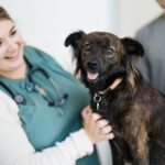 veterinary team member smiling and holding dog
