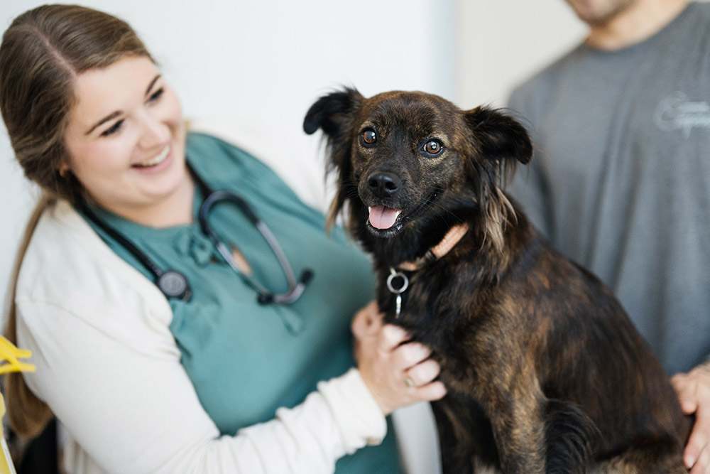 veterinary team member smiling and holding dog