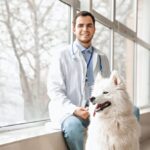 veterinarian sitting by window behind white fluffy dog