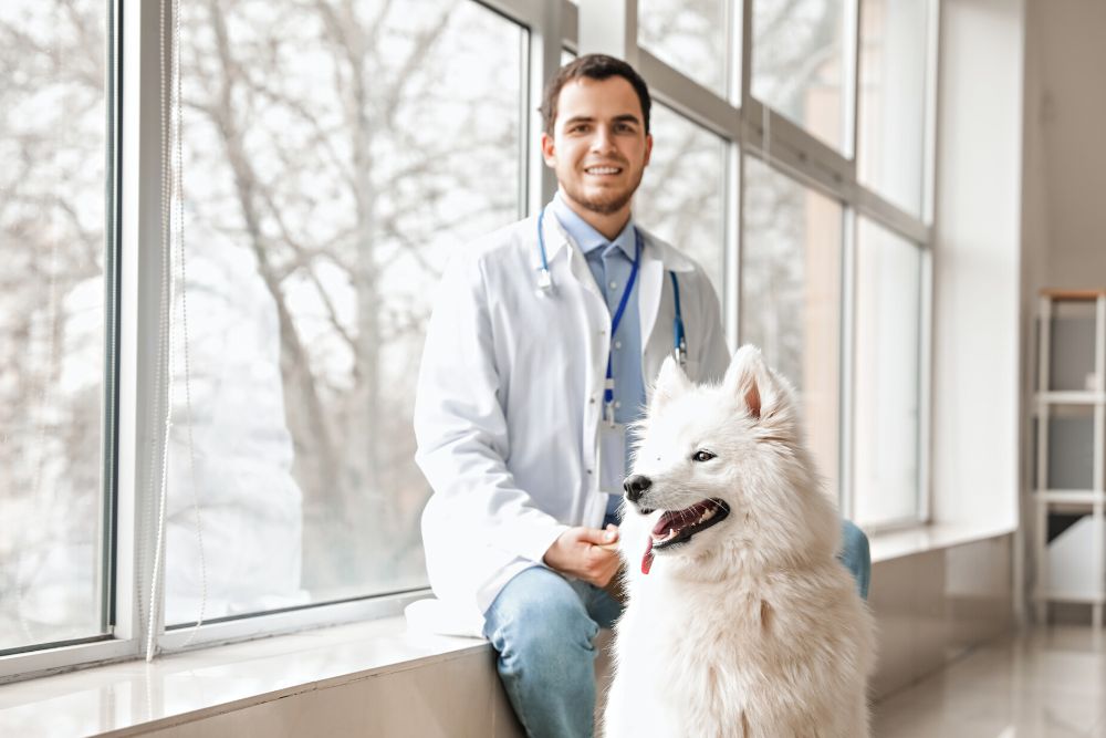 veterinarian sitting by window behind white fluffy dog