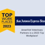 Top Workplaces of 2023 - San Antonio Express-News